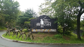 明野のひまわりとぶどう狩りのおすすめポイント詳細