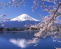 新倉山浅間公園と河口湖桜(イメージ)