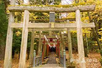 [全国旅行支援対象] 新屋山神社奥宮参拝バスツアーのイメージ