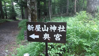 新屋山神社奥宮へ行く道