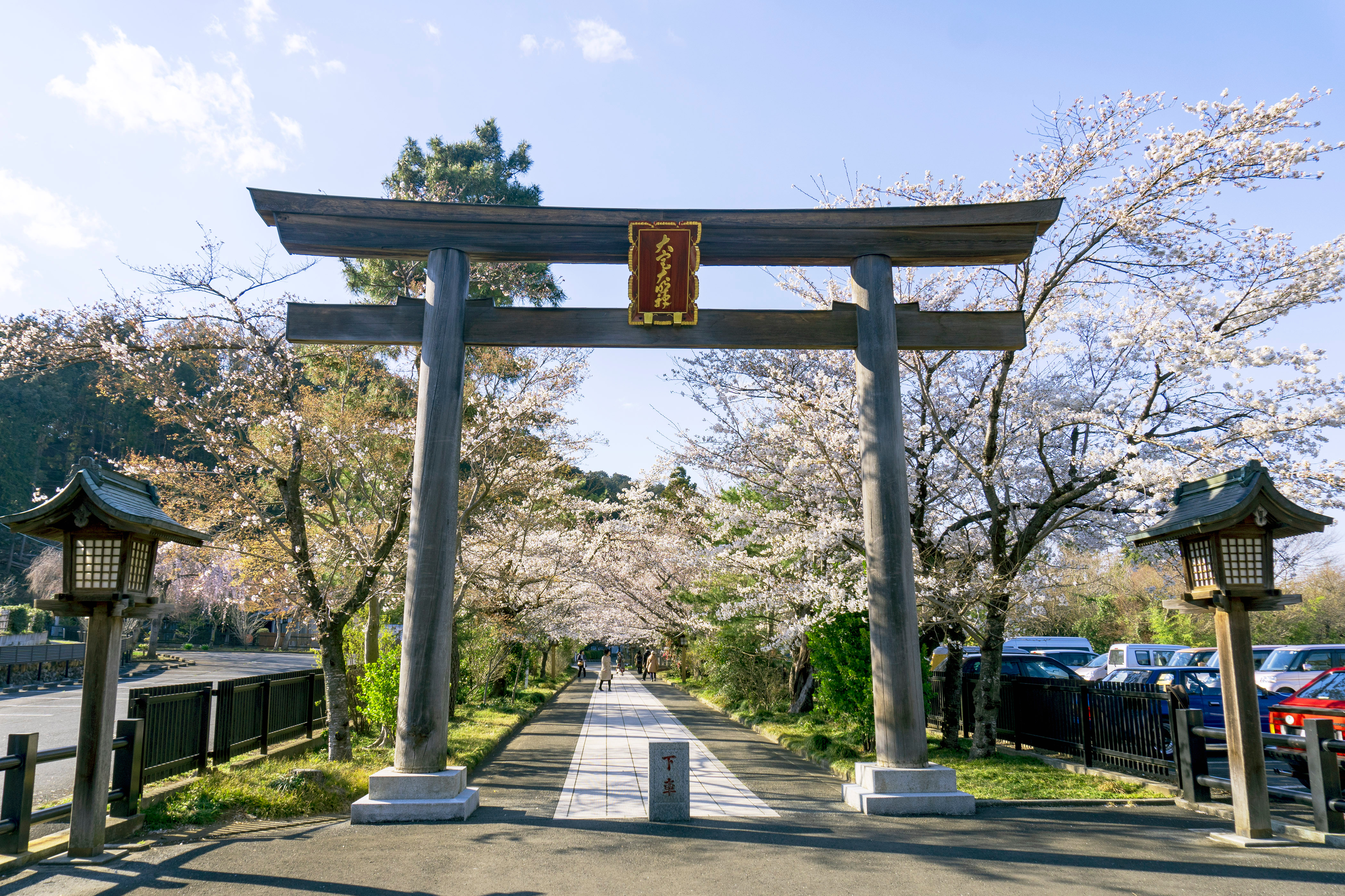 　紅葉の宝徳寺とわたらせ渓谷ツアーのおすすめポイント