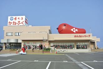 あしかがイルミネーションとあみアウトレットツアーのおすすめポイント詳細