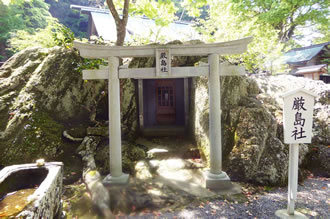 [全国旅行支援対象] 安房神社と総社鶴谷八幡宮を参拝する安房國神社巡りツアーのおすすめポイント