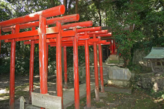 安房神社と総社鶴谷八幡宮を参拝する安房國三社巡りツアーのおすすめポイント