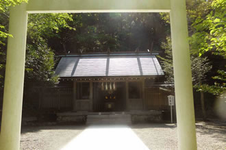 [全国旅行支援対象] 安房神社と総社鶴谷八幡宮を参拝する安房國神社巡りツアーのおすすめポイント