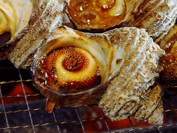 [全国旅行支援対象] いちご狩りと海鮮浜焼き食べ放題ツアーの魅力