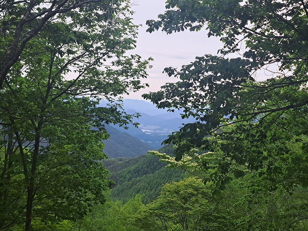 ゼロ磁場 分杭峠