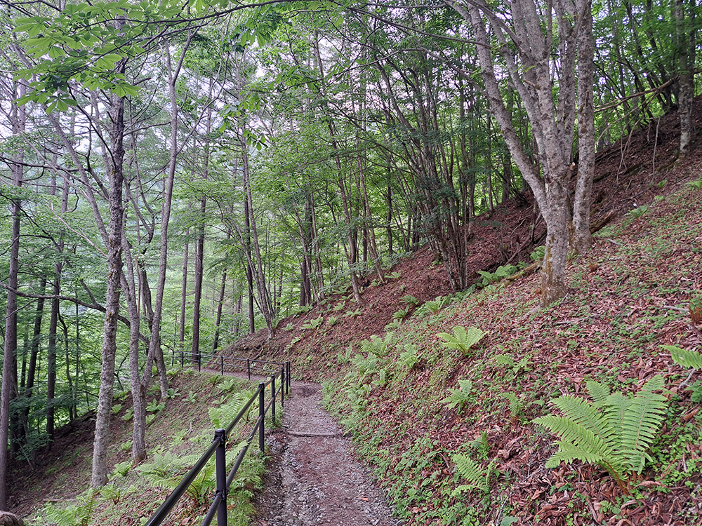 ゼロ磁場 分杭峠