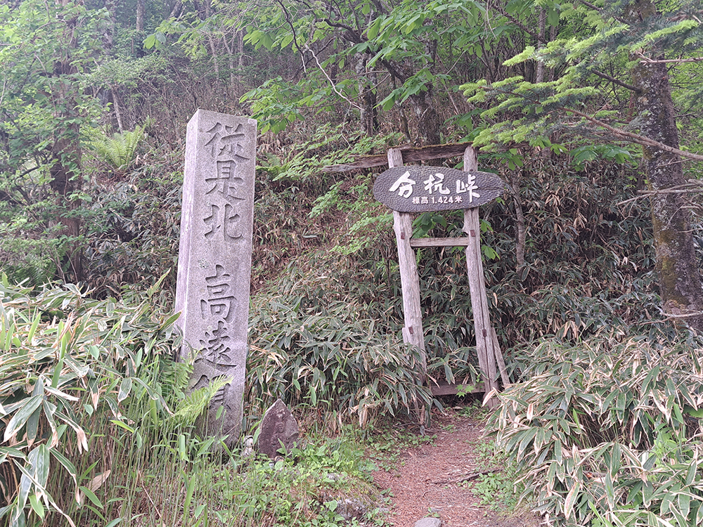 ゼロ磁場 分杭峠バスツアーおすすめポイント