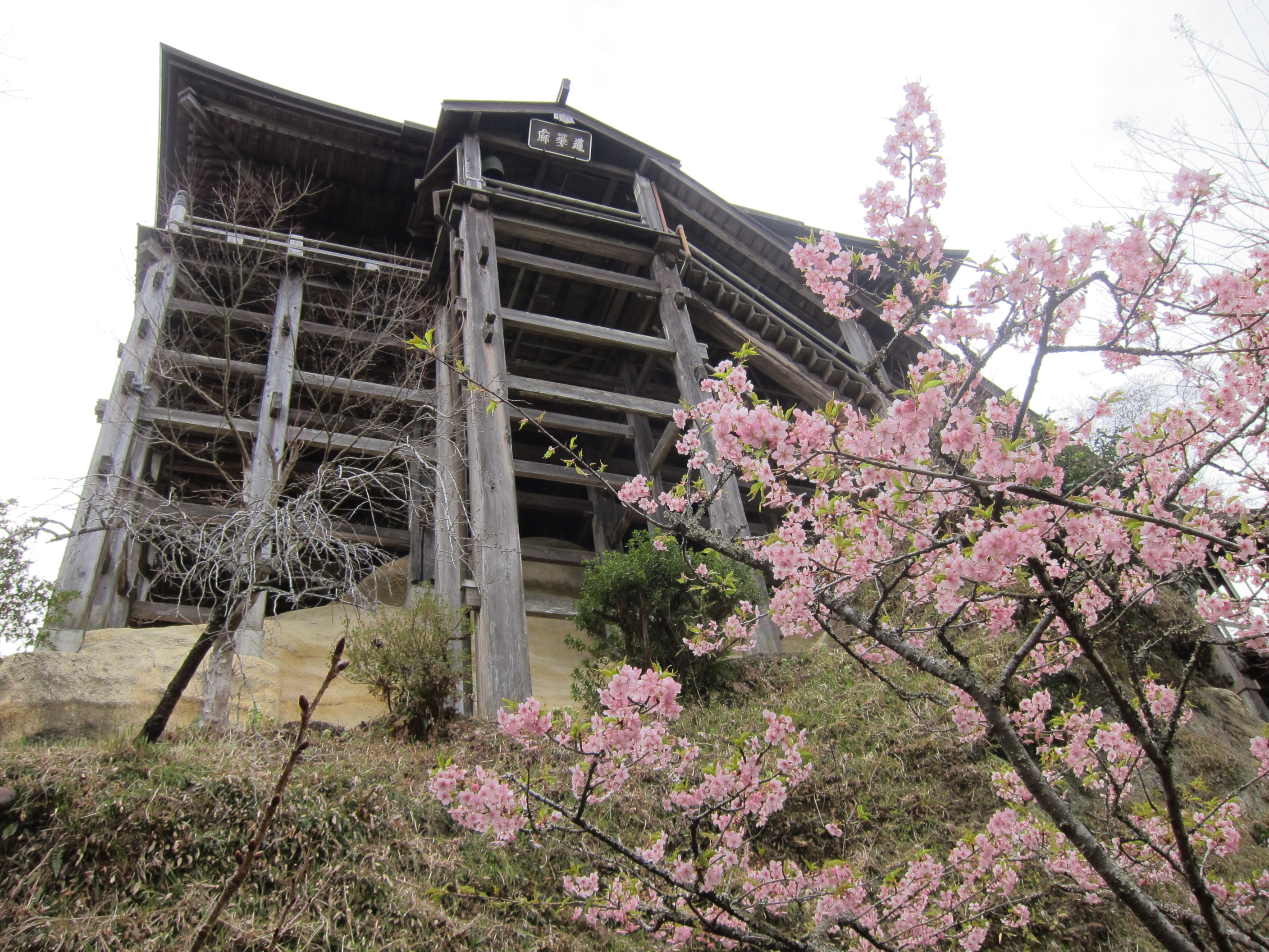 [全国旅行支援対象] 鋸山日本寺・笠森観音・大福寺崖観音の千葉県山の観音巡りバスツアーのコダワリ