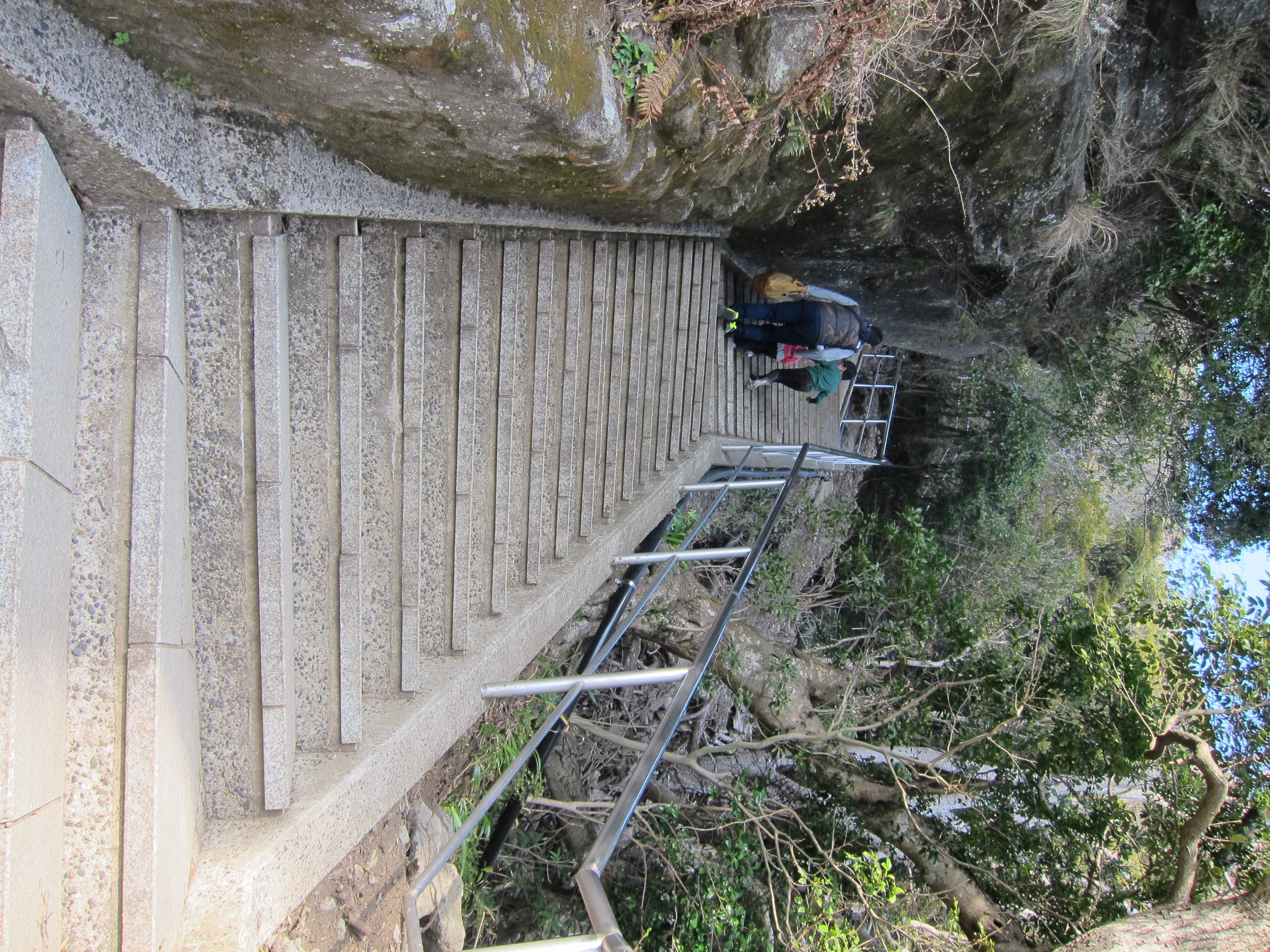 [全国旅行支援対象] 鋸山日本寺・笠森観音・大福寺崖観音の千葉県山の観音巡りバスツアーの魅力