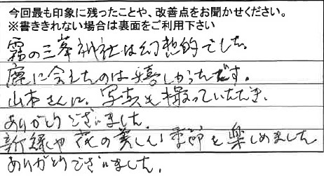 お客様からの感想