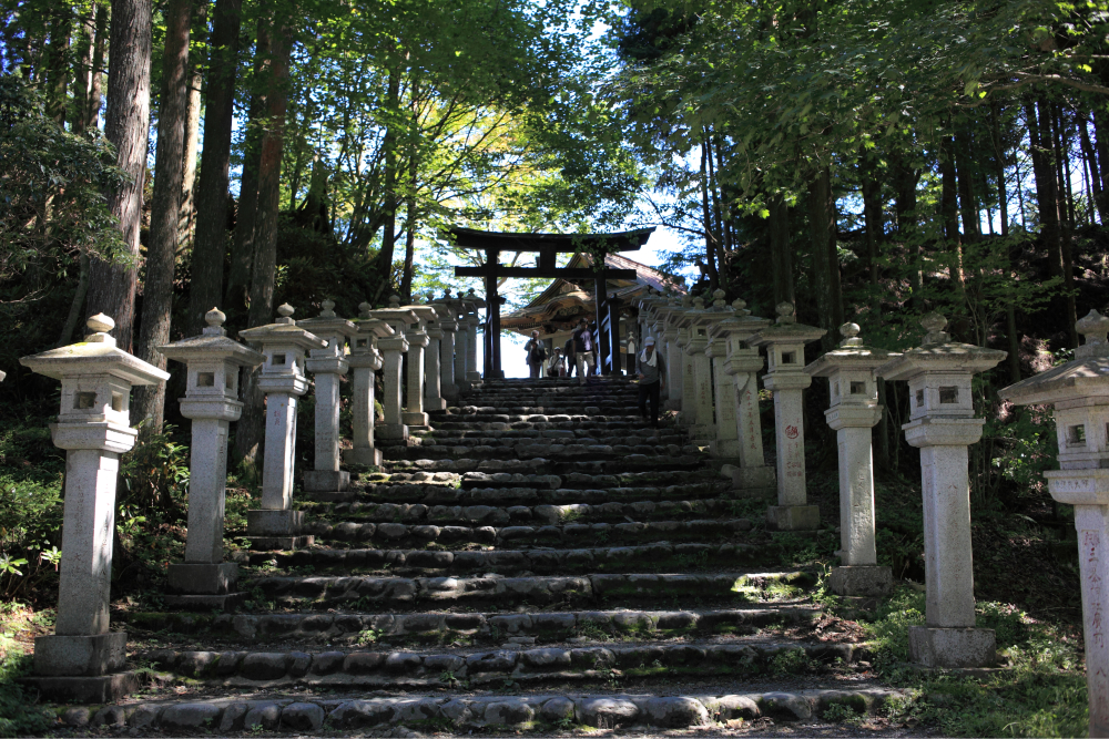 三秩父三社(秩父神社・宝登山神社・三峯神社)バスツアーのイメージ