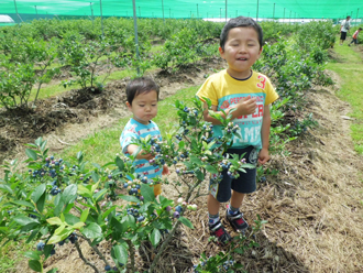 夏のわんぱく大冒険in群馬ツアーのおすすめポイント詳細2