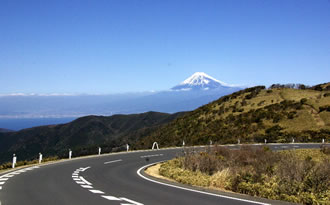 達磨山ハイキングツアーおすすめポイント