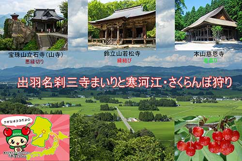 出羽名刹三寺まいりと寒河江・さくらんぼ狩り