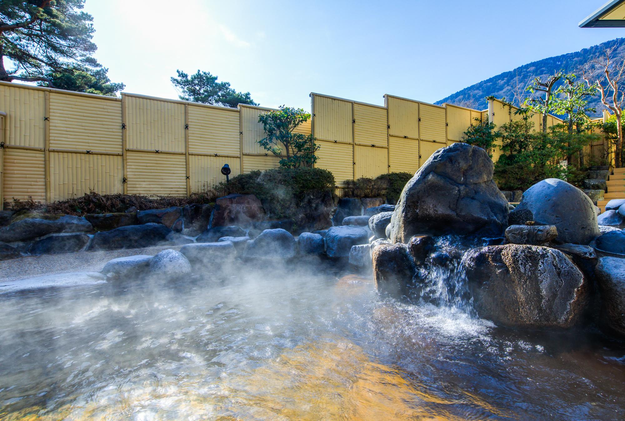 箱根神社初詣＆初湯バスツアーのおすすめポイントの写真2 