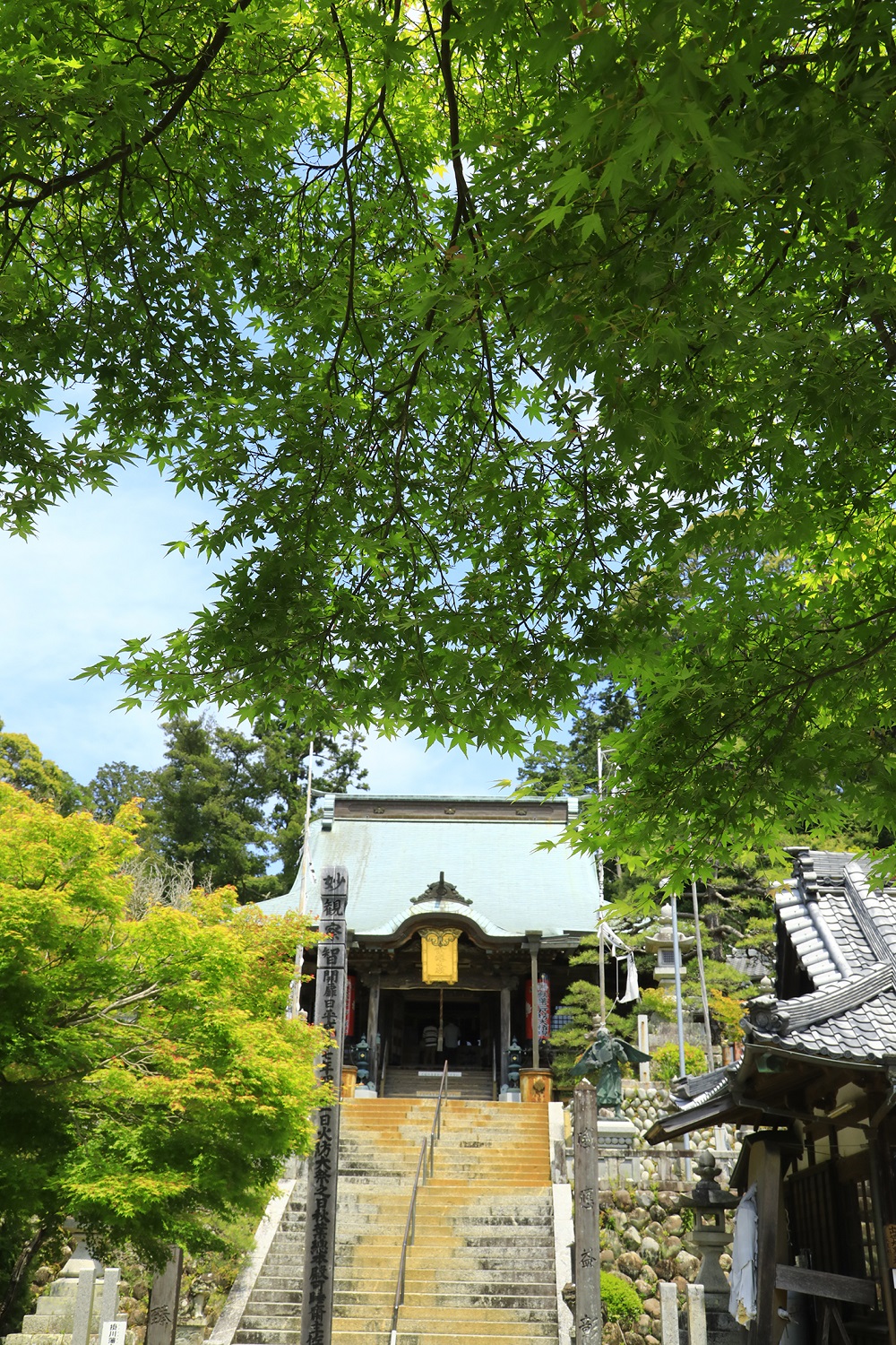 遠州三山 自分巡礼バスツアーのおすすめポイント