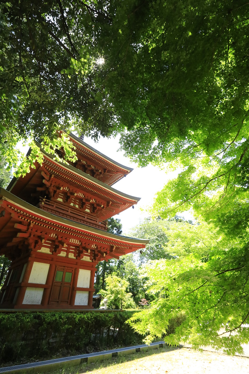 遠州三山 自分巡礼バスツアーのおすすめポイント