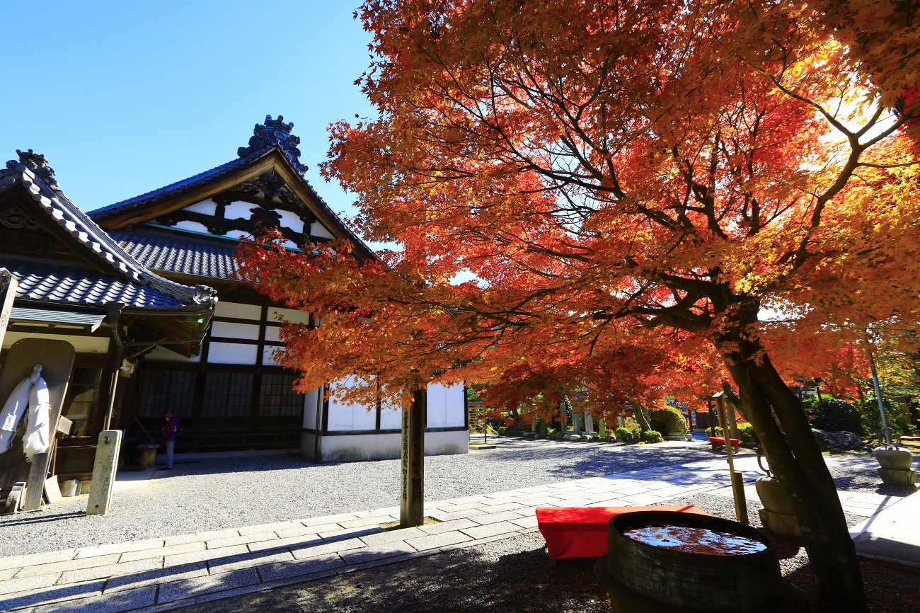 遠州三山　自分巡礼バスツアーのおすすめポイント