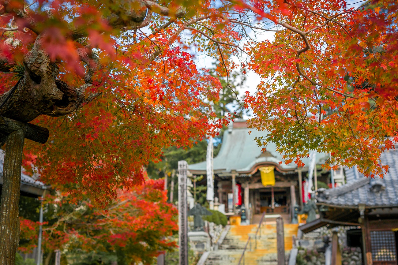 [全国旅行支援対象] 遠州三山　自分巡礼バスツアーのイメージ