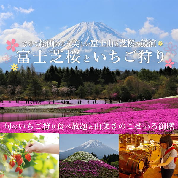 富士芝桜といちご狩り食べ放題バスツアー