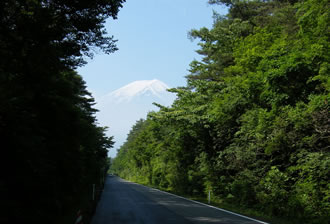 富士山下山バスツアーのおすすめポイント詳細