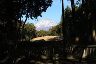 遙拝所からは富士山が神々しいです