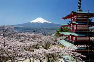 富士山五合目と山麓周遊バスツアーのイメージ