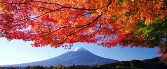 秋に巡る出羽三山ツアーのイメージ1