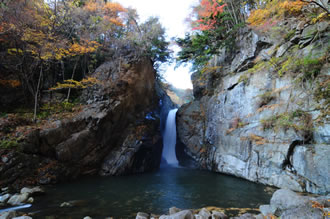 富士山ビュー特急回廊バスツアーのおすすめポイント