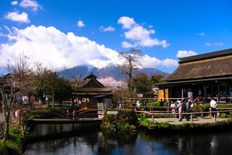 [全国旅行支援対象] 富士芝桜と富士山周遊バスツアーのおすすめポイント詳細