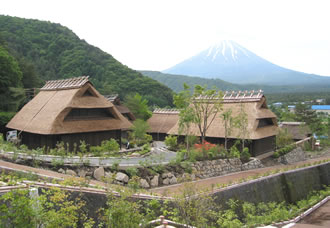 富士芝桜と富士山周遊バスツアーのおすすめポイント詳細