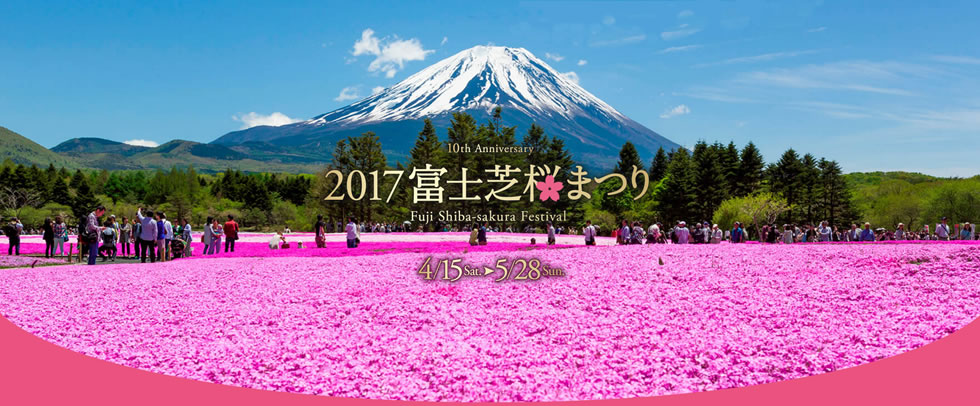 富士芝桜と富士山周遊バスツアーのイメージPC版
