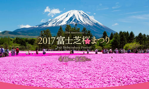 富士芝桜と富士山周遊バスツアーのイメージスマホ版
