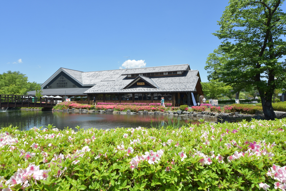 【高崎・太田発】吹割の滝散策と伊香保温泉バスツアー