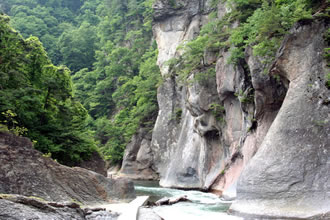 吹割の滝散策と伊香保温泉バスツアーのおすすめポイント