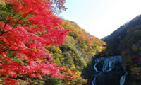 袋田の滝（イメージ）