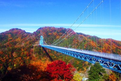 越後国三カ所の一宮めぐりバスツアーのイメージ写真1