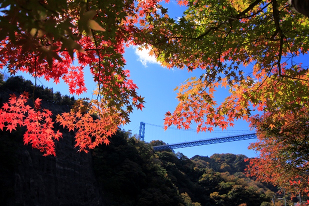 奥久慈紅葉 袋田の滝と竜神大吊橋の紅葉バスツアー 四季の旅バスツアー