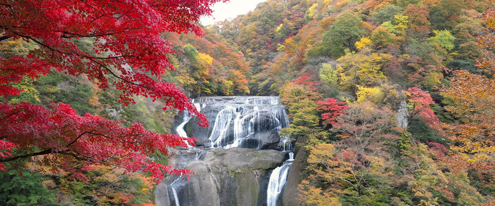 袋田の滝と花貫渓谷の紅葉バスツアー