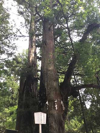 古峯神社と世界遺産日光バスツアーのおすすめポイント