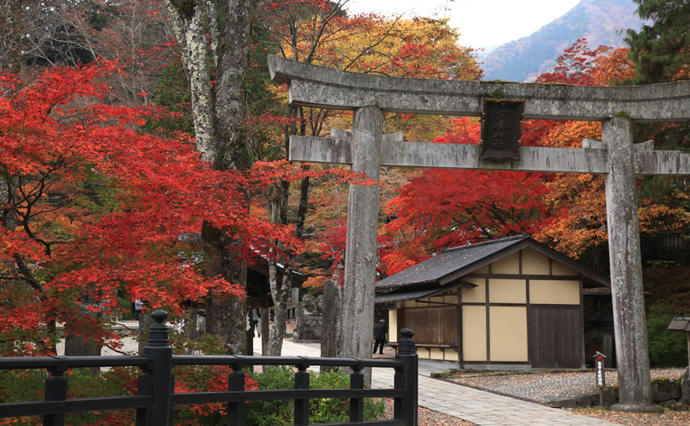 古峯神社と世界遺産日光バスツアーPC版