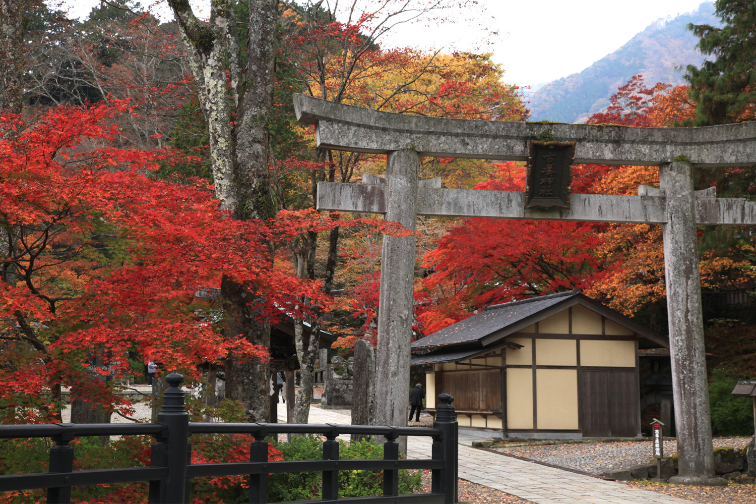 入笠山ツアー