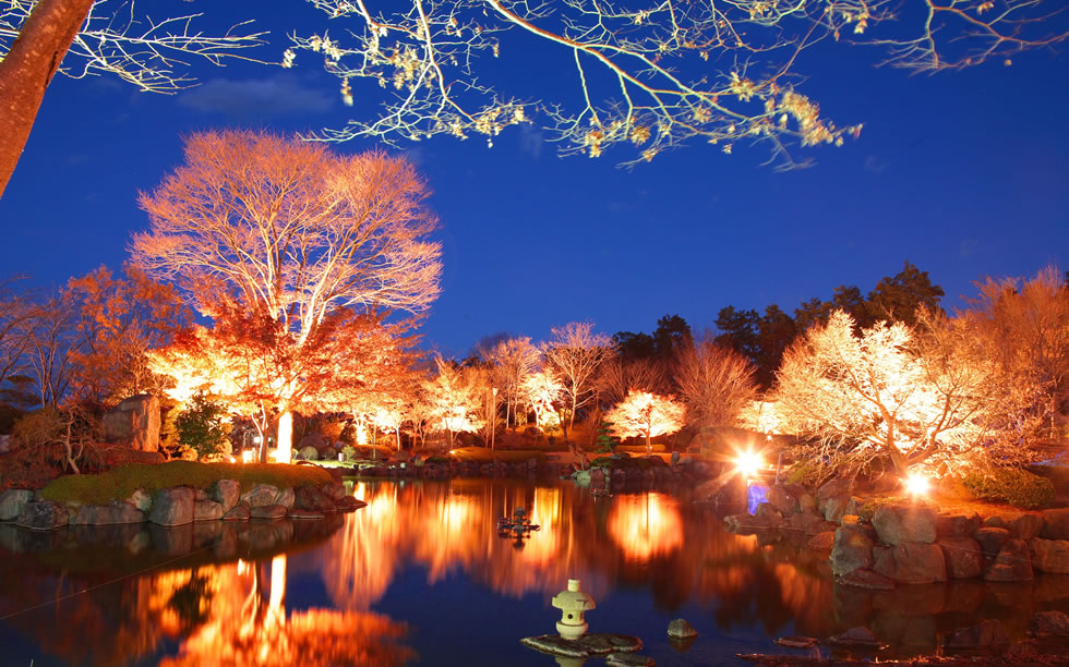 関東二大冬桜と北限のみかん狩りツアー