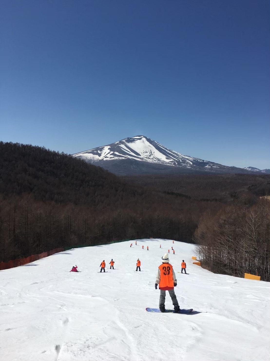 ゲレコンバスツアーのおすすめポイント