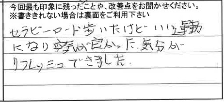 お客様からの感想