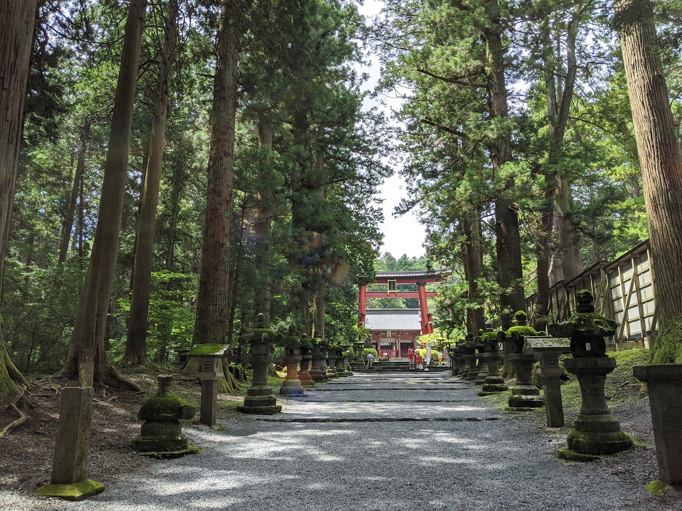 北口浅間神社杉並木の参道
