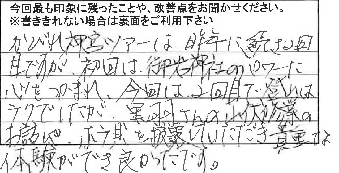 お客様からの感想