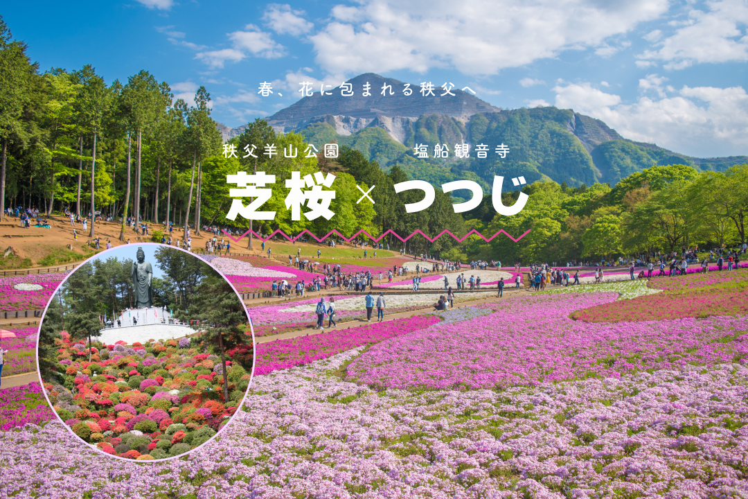秩父羊山公園の芝桜と“花の寺”塩船観音のつつじ鑑賞ツアー